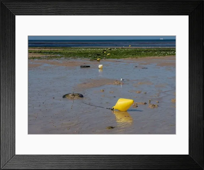 Framed Print : View of the sea from the beach and yellow buoys chained to tires Framed Print : View of the sea from the beach and yellow buoys chained to tires