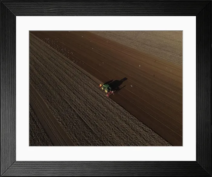 Framed Print : A John Deere Tractor seeds a previously cultivated field with sweetcorn, late in the evening Framed Print : A John Deere Tractor seeds a previously cultivated field with sweetcorn, late in the evening