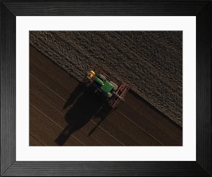 Framed Print : A John Deere Tractor seeds a previously cultivated field with sweetcorn, late in the evening