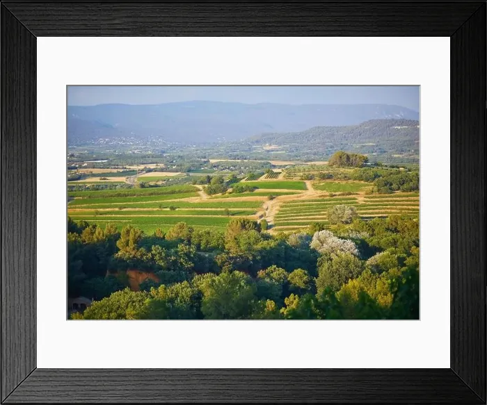 Framed Print : Aerial scenic Mediterranean landscape with cypresses, olive trees and vineyards in Provence, Southern France Framed Print : Aerial scenic Mediterranean landscape with cypresses, olive trees and vineyards in Provence, Southern France