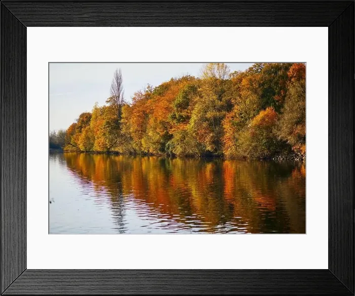 Framed Print : Scenic view of autumn forest and river Vienne near medieval castle of Les Ormes, France Framed Print : Scenic view of autumn forest and river Vienne near medieval castle of Les Ormes, France