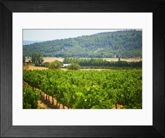 Framed Print : Aerial scenic Mediterranean landscape with cypresses, olive trees and vineyards in Provence, Southern France Framed Print : Aerial scenic Mediterranean landscape with cypresses, olive trees and vineyards in Provence, Southern France