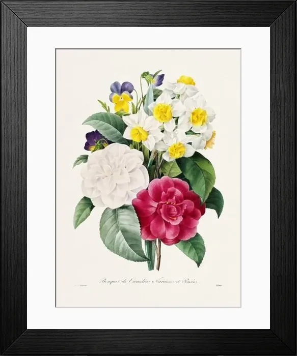 Framed Print : Vintage flower illustration. 19th Century French Floral Plate by Pierre Joseph Redouté