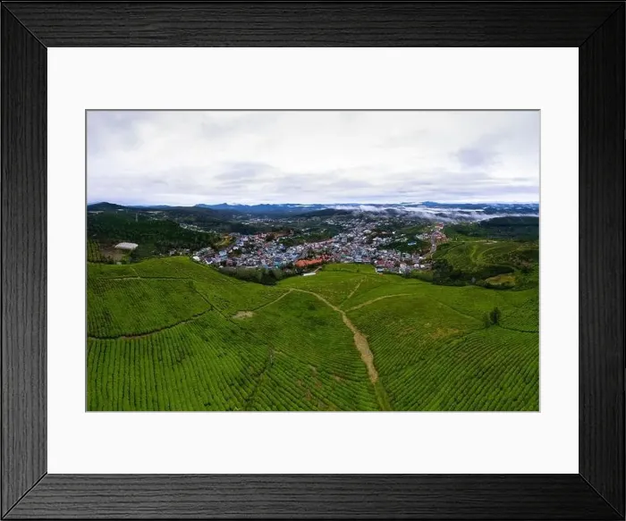 Framed Print : Dawn on tea fields in Da Lat city, Lam Dong province, Vietnam Framed Print : Dawn on tea fields in Da Lat city, Lam Dong province, Vietnam