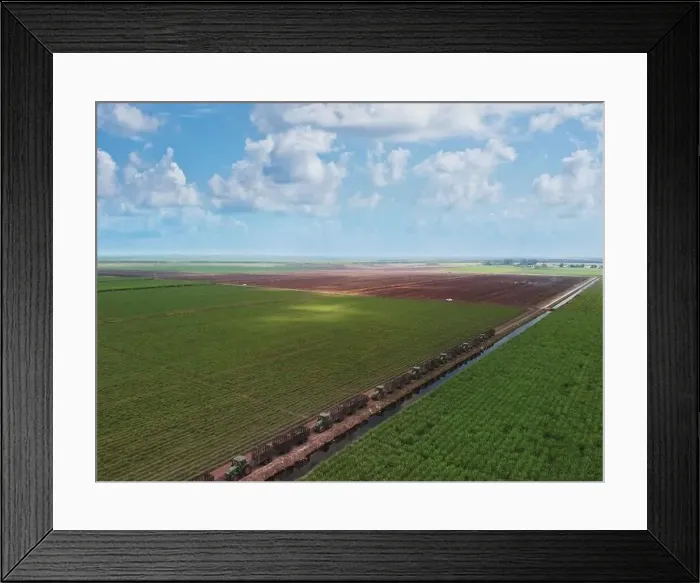 Framed Print : Sugar cane fields with tractors and canal in Florida. Aerial view Framed Print : Sugar cane fields with tractors and canal in Florida. Aerial view
