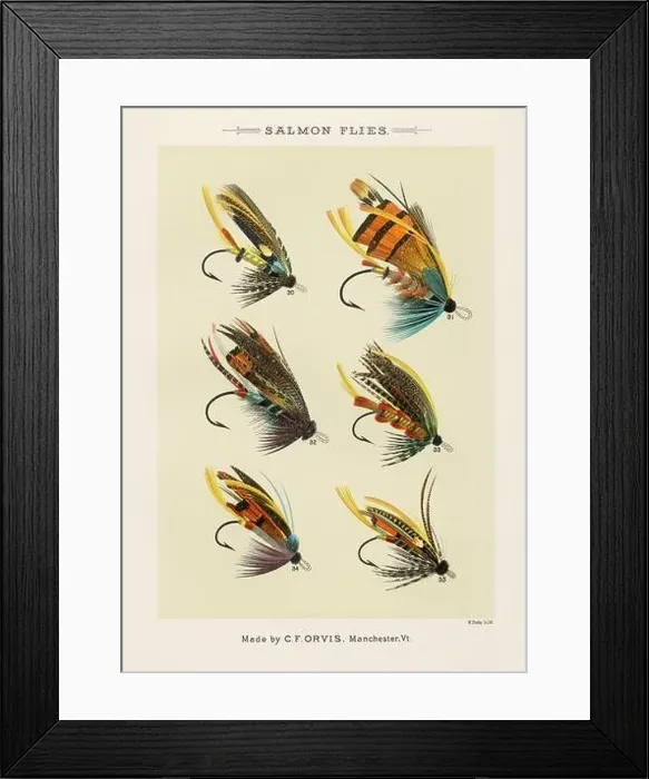 Framed Print : Vintage Illustration of fly fishing hooks Framed Print : Vintage Illustration of fly fishing hooks