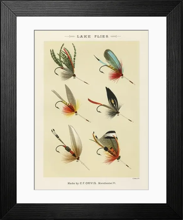 Framed Print : Vintage Illustration of fly fishing hooks Framed Print : Vintage Illustration of fly fishing hooks