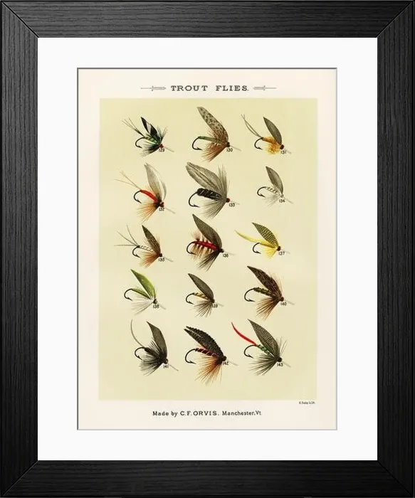 Framed Print : Vintage Illustration of fly fishing hooks Framed Print : Vintage Illustration of fly fishing hooks