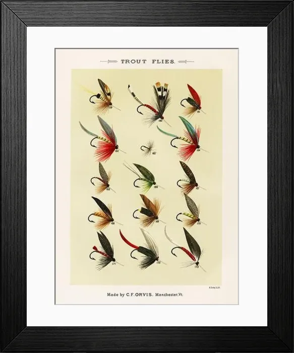 Framed Print : Vintage Illustration of fly fishing hooks Framed Print : Vintage Illustration of fly fishing hooks