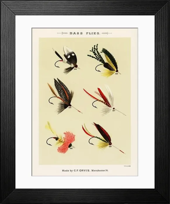 Framed Print : Vintage Illustration of fly fishing hooks Framed Print : Vintage Illustration of fly fishing hooks