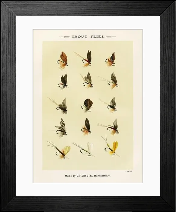 Framed Print : Vintage Illustration of fly fishing hooks Framed Print : Vintage Illustration of fly fishing hooks