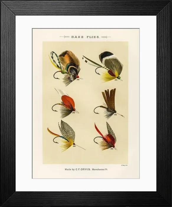 Framed Print : Vintage Illustration of fly fishing hooks Framed Print : Vintage Illustration of fly fishing hooks