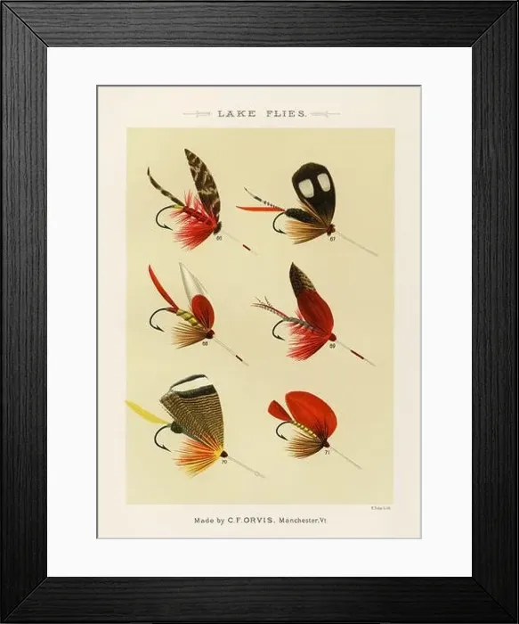 Framed Print : Vintage Illustration of fly fishing hooks Framed Print : Vintage Illustration of fly fishing hooks