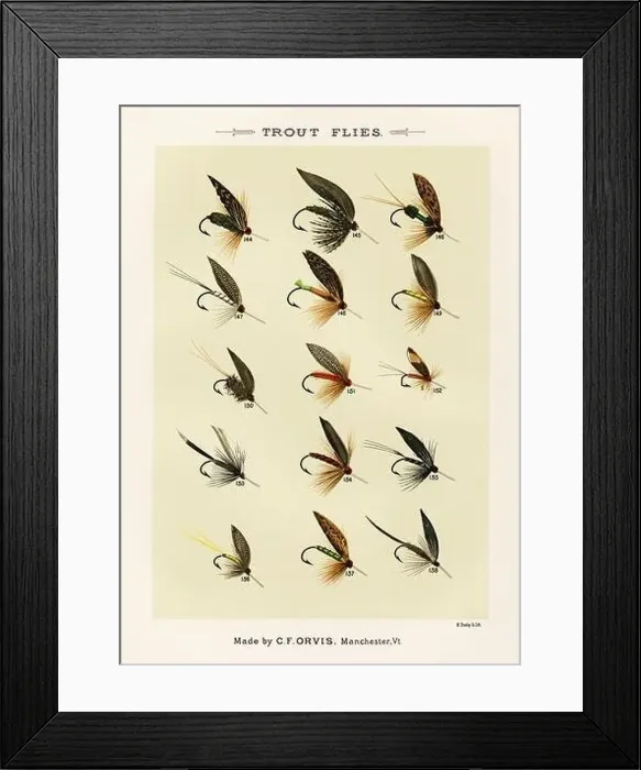 Framed Print : Vintage Illustration of fly fishing hooks Framed Print : Vintage Illustration of fly fishing hooks