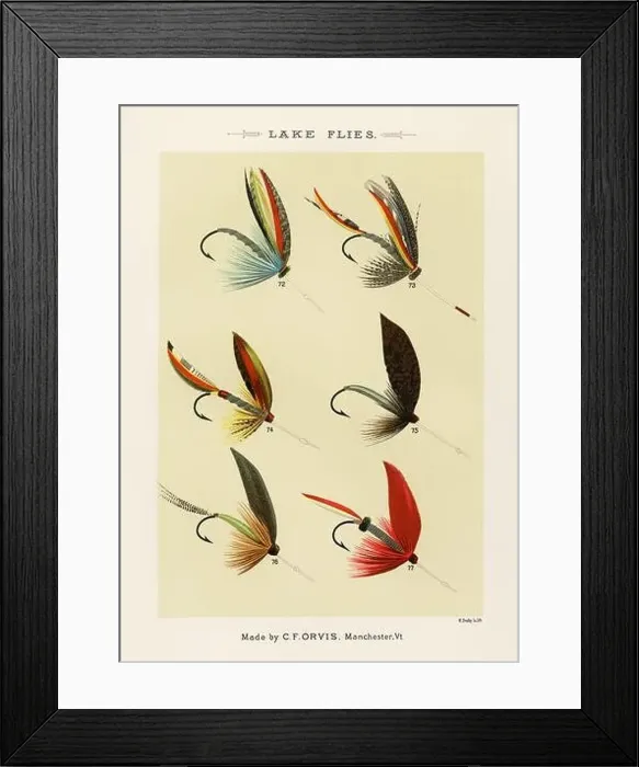 Framed Print : Vintage Illustration of fly fishing hooks Framed Print : Vintage Illustration of fly fishing hooks
