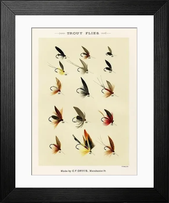 Framed Print : Vintage Illustration of fly fishing hooks Framed Print : Vintage Illustration of fly fishing hooks