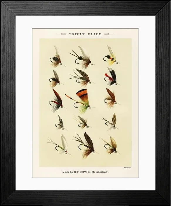 Framed Print : Vintage Illustration of fly fishing hooks Framed Print : Vintage Illustration of fly fishing hooks