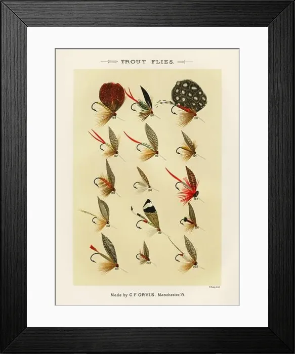 Framed Print : Vintage Illustration of fly fishing hooks Framed Print : Vintage Illustration of fly fishing hooks
