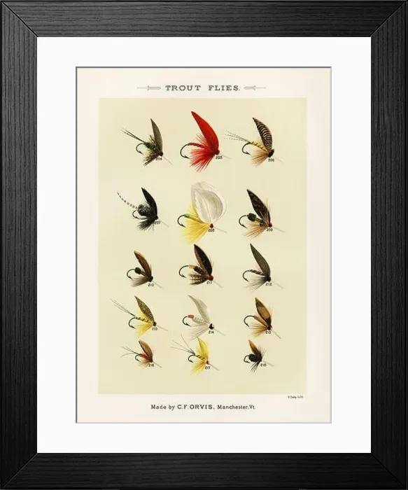 Framed Print : Vintage Illustration of fly fishing hooks Framed Print : Vintage Illustration of fly fishing hooks