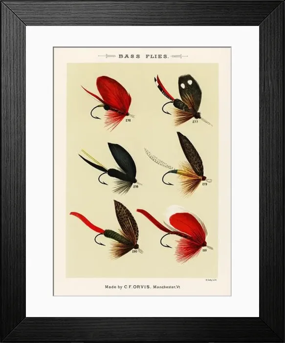 Framed Print : Vintage Illustration of fly fishing hooks Framed Print : Vintage Illustration of fly fishing hooks
