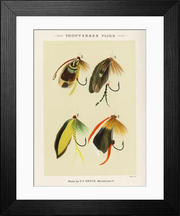 Framed Print : Vintage Illustration of fly fishing hooks Framed Print : Vintage Illustration of fly fishing hooks