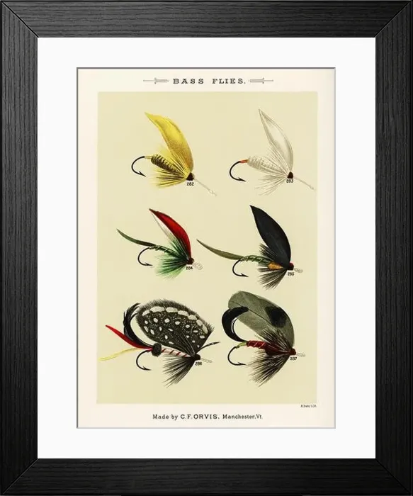 Framed Print : Vintage Illustration of fly fishing hooks Framed Print : Vintage Illustration of fly fishing hooks
