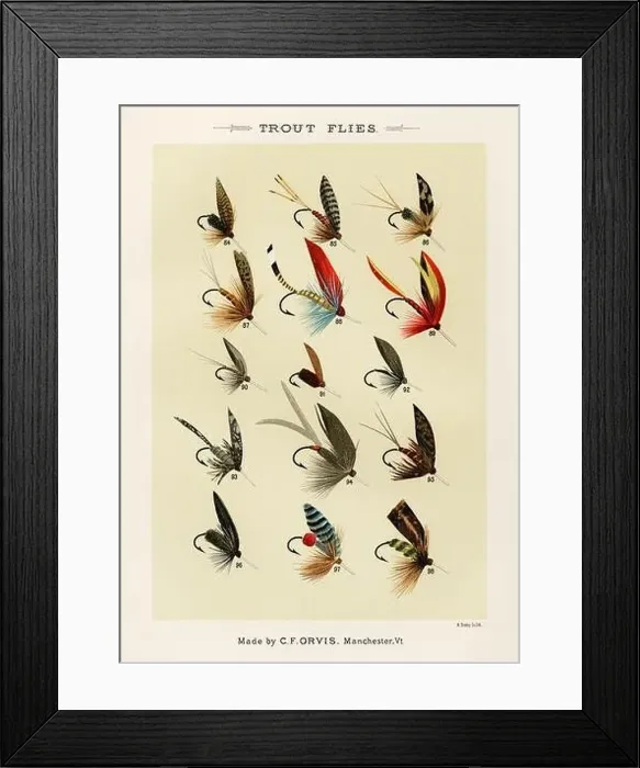 Framed Print : Vintage Illustration of fly fishing hooks Framed Print : Vintage Illustration of fly fishing hooks