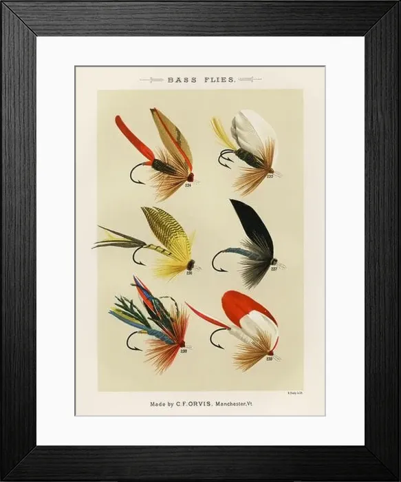 Framed Print : Vintage Illustration of fly fishing hooks Framed Print : Vintage Illustration of fly fishing hooks