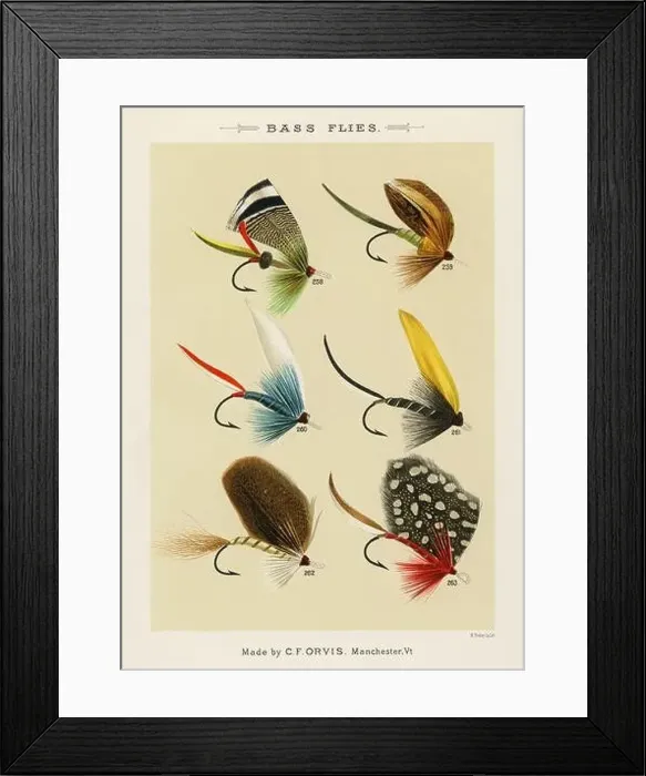 Framed Print : Vintage Illustration of fly fishing hooks Framed Print : Vintage Illustration of fly fishing hooks