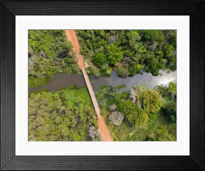 Framed Print : Bridge over a river crossing the thick vegetation Framed Print : Bridge over a river crossing the thick vegetation