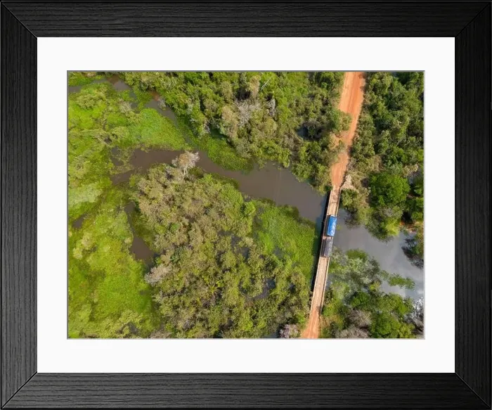 Framed Print : Bridge over a river crossing the thick vegetation Framed Print : Bridge over a river crossing the thick vegetation