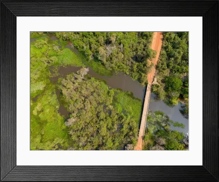 Framed Print : Bridge over a river crossing the thick vegetation Framed Print : Bridge over a river crossing the thick vegetation
