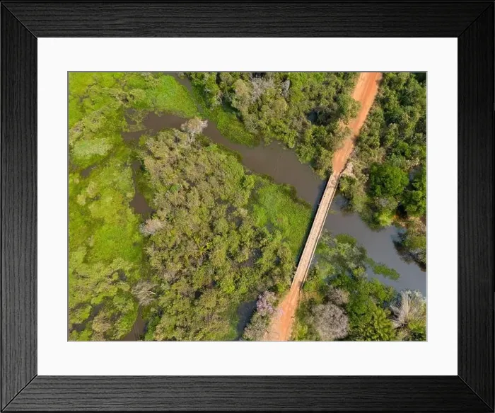 Framed Print : Bridge over a river crossing the thick vegetation Framed Print : Bridge over a river crossing the thick vegetation