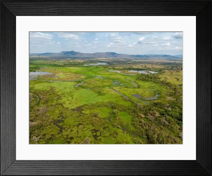 Framed Print : Drone shot of the bright green flooded grasslands of the Pantanal in Brasil Framed Print : Drone shot of the bright green flooded grasslands of the Pantanal in Brasil
