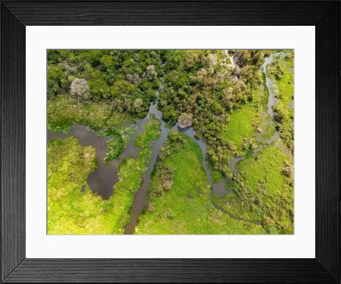 Framed Print : Close-up drone shot of the bright green flooded grasslands of the Pantanal in Brasil