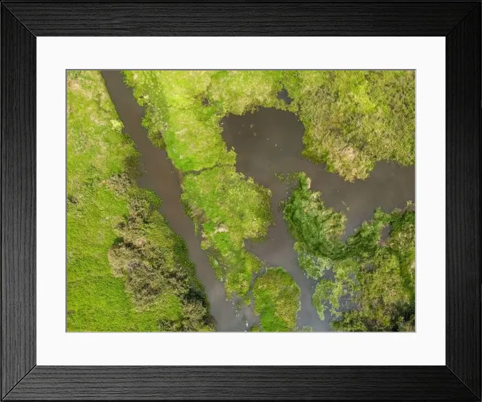 Framed Print : Close-up drone shot of the bright green flooded grasslands of the Pantanal in Brasil