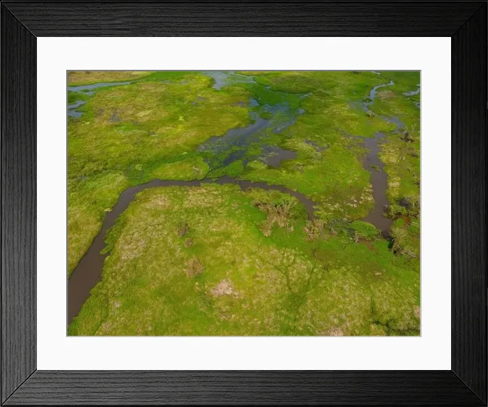 Framed Print : Close-up drone shot of the bright green flooded grasslands of the Pantanal in Brasil