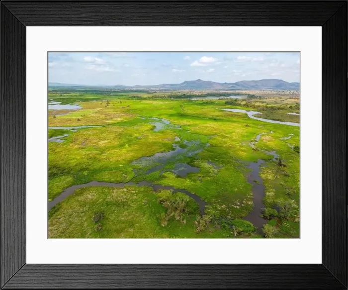 Framed Print : Drone shot of the bright green flooded grasslands of the Pantanal in Brasil Framed Print : Drone shot of the bright green flooded grasslands of the Pantanal in Brasil