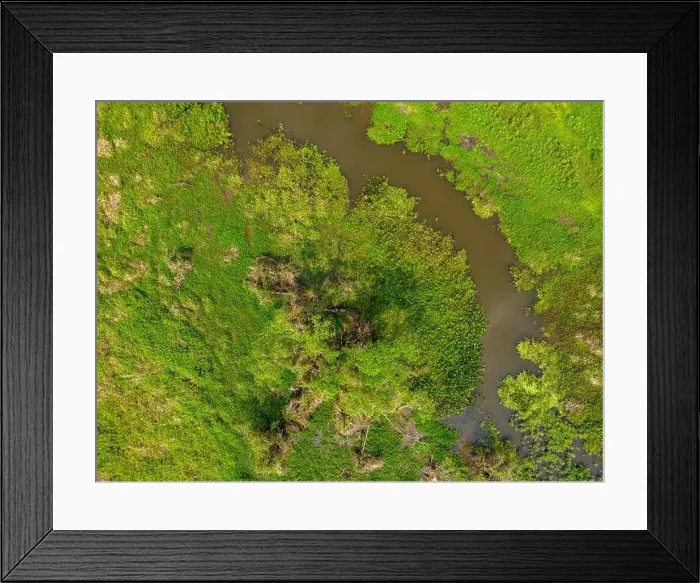 Framed Print : Close-up drone shot of the bright green flooded grasslands of the Pantanal in Brasil