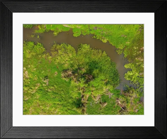 Framed Print : Close-up drone shot of the bright green flooded grasslands of the Pantanal in Brasil