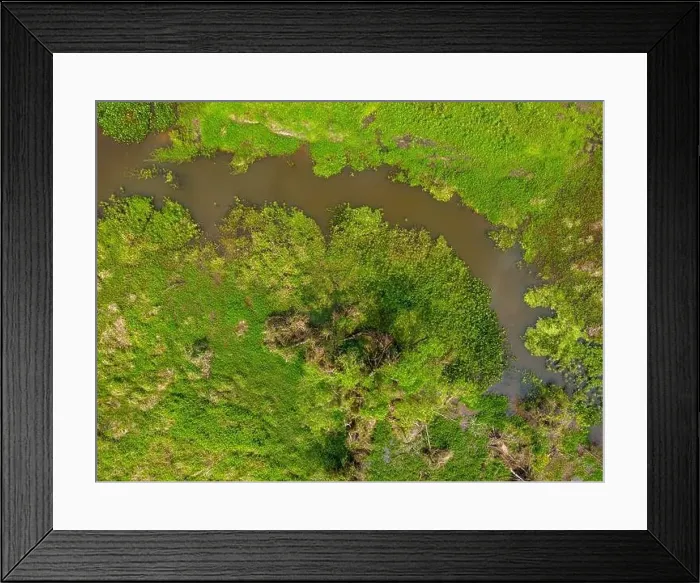 Framed Print : Close-up drone shot of the bright green flooded grasslands of the Pantanal in Brasil
