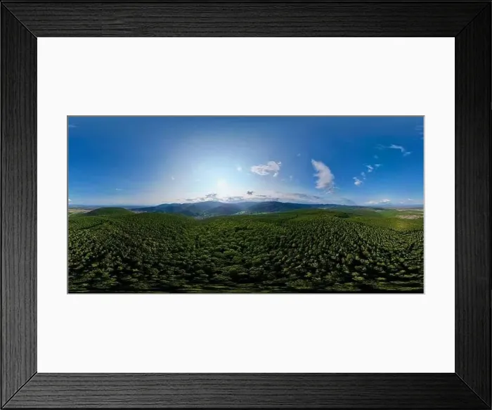 Framed Print : 360° Panoramic Aerial View of Florival Valley: From Lautenbach's Forest Treetops to Buhl's Sun-Kissed Hills Framed Print : 360° Panoramic Aerial View of Florival Valley: From Lautenbach's Forest Treetops to Buhl's Sun-Kissed Hills