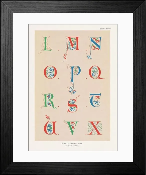 Framed Print : Medieval alphabet. 12th century alphabet of initial letters Framed Print : Medieval alphabet. 12th century alphabet of initial letters