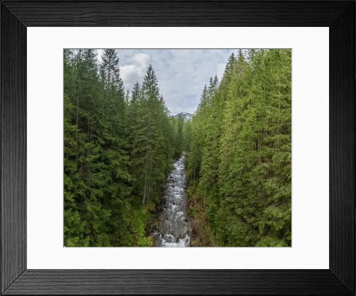 Framed Print : Nature's Harmony: Pine Forests Alongside a Mountain River Framed Print : Nature's Harmony: Pine Forests Alongside a Mountain River