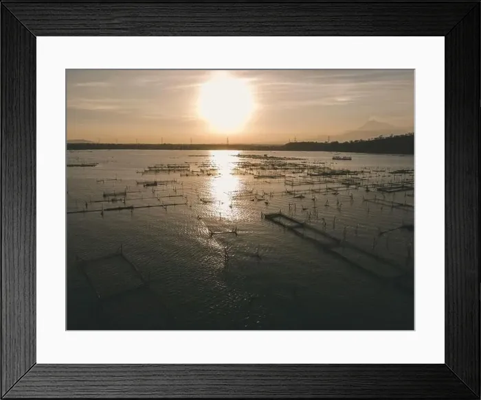 Framed Print : Aerial drone view of Rowo Jombro Lake with a lot of fish pond in Klaten, Indonesia Framed Print : Aerial drone view of Rowo Jombro Lake with a lot of fish pond in Klaten, Indonesia