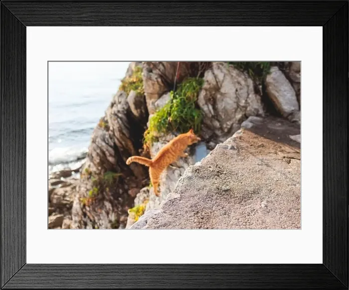 Framed Print : View of Budva old town streets Framed Print : View of Budva old town streets