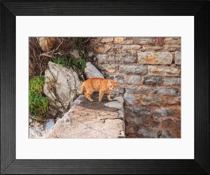 Framed Print : View of Budva old town streets Framed Print : View of Budva old town streets
