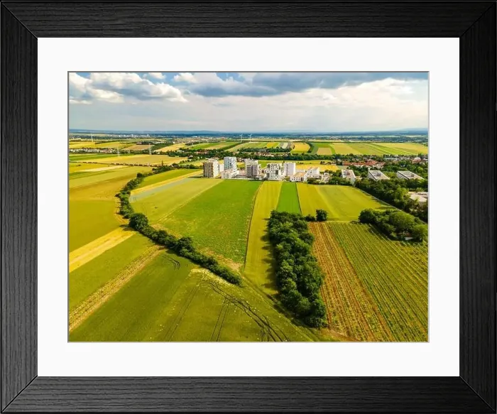 Framed Print : Drone view of vineyards wheat rape seed fields in southern Vienna with apartment buildings Framed Print : Drone view of vineyards wheat rape seed fields in southern Vienna with apartment buildings