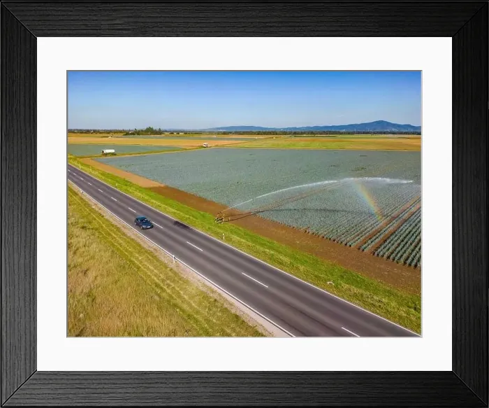 Framed Print : Sprinkler with irrigation for an agricultural field next to a road with a car in the hot summer Framed Print : Sprinkler with irrigation for an agricultural field next to a road with a car in the hot summer