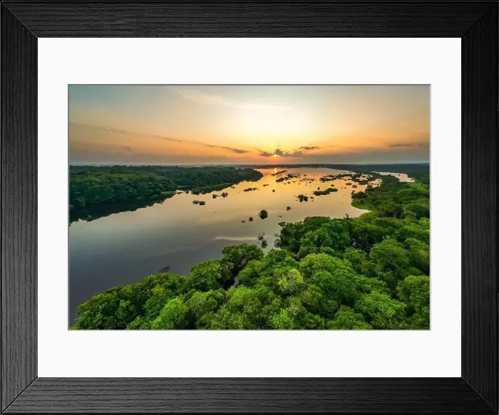 Framed Print : Scenic aerial sunset view of rainforest water jungle in Amazonas state Brazil Framed Print : Scenic aerial sunset view of rainforest water jungle in Amazonas state Brazil